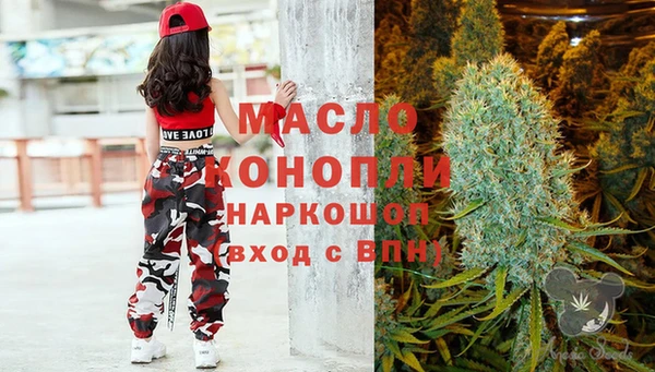 гидра Абаза