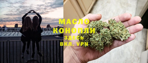 гидра Абаза