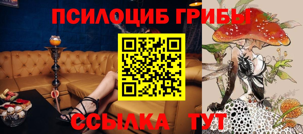 Галлюциногенные грибы мицелий  Псилоцибиновые грибы мицелий  Грозный  Вход с VPN 