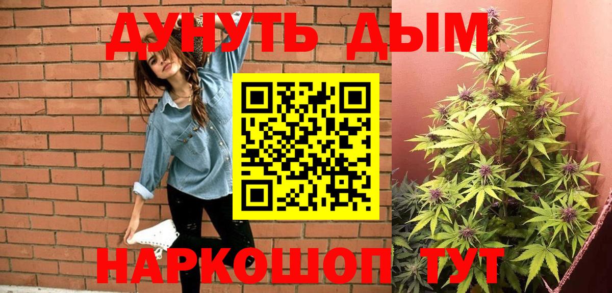 Конопля White Widow Грозный
